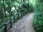深沢銭洗弁天1.jpg