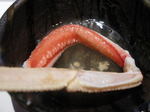 񂴂 {X `X24.JPG